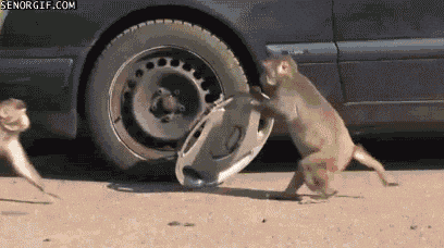 See why they tried to steal dat-dot.Com